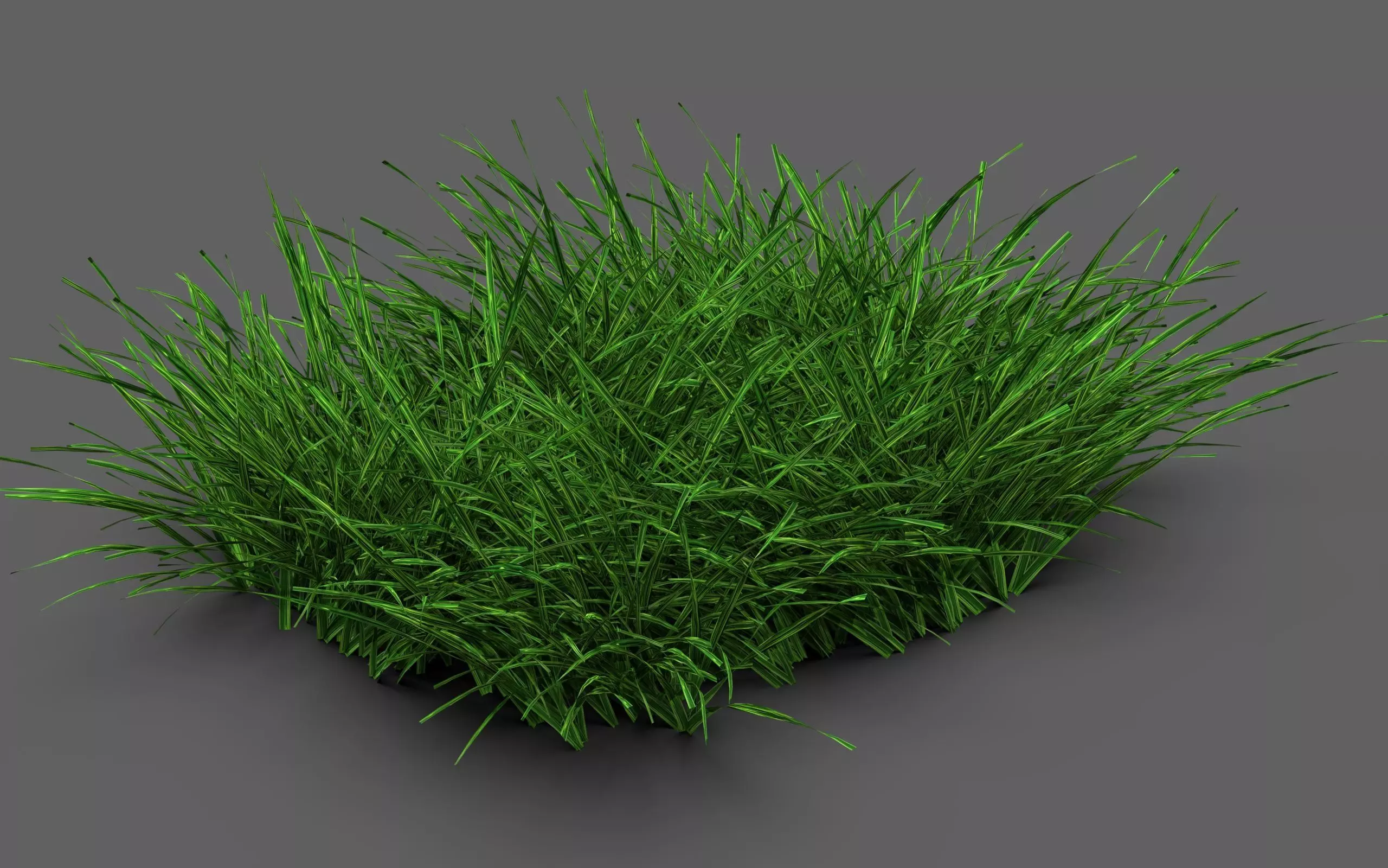 Grass Clump 3D model_3