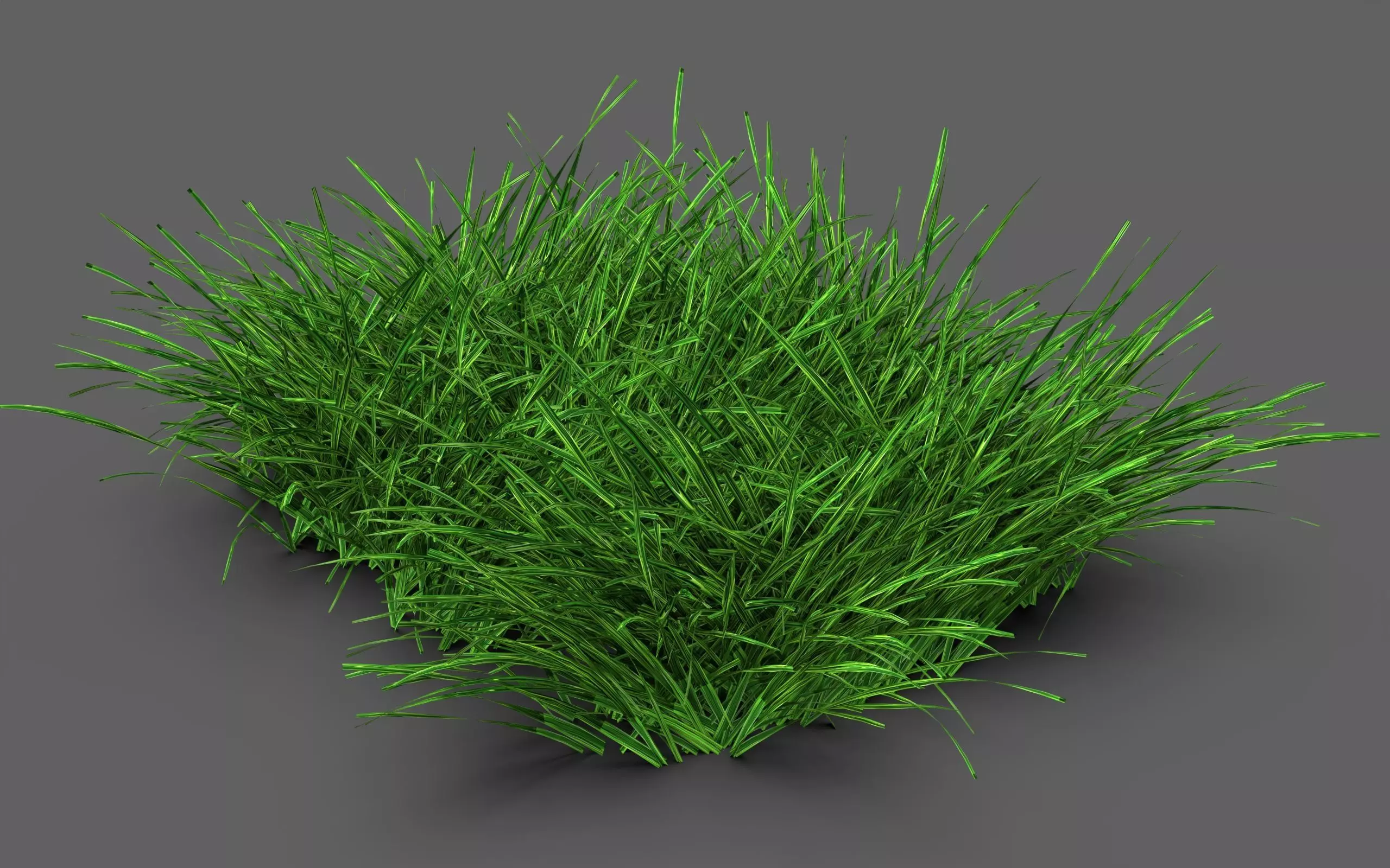 Grass Clump 3D model_1