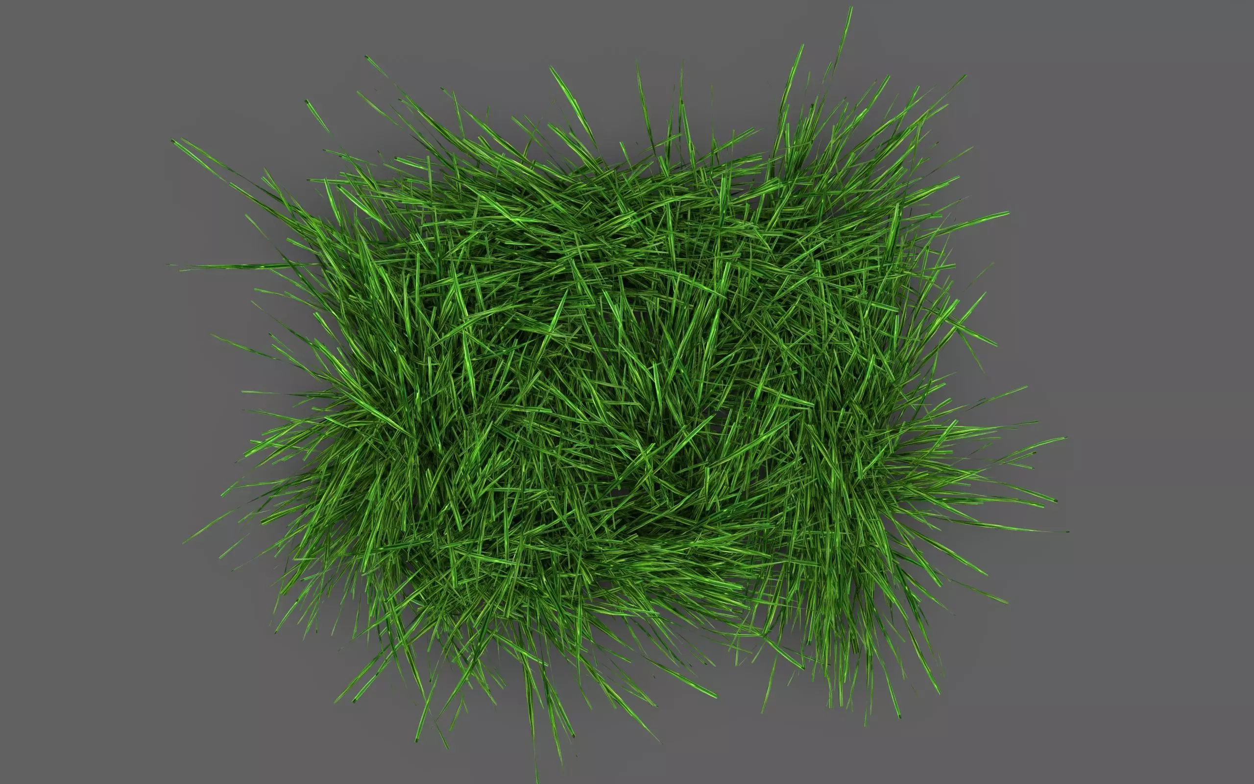 Grass Clump 3D model_4