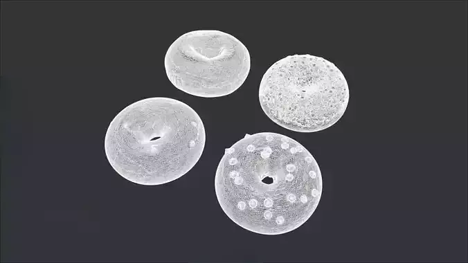 Bagels Bundle - 4 Models 3D model 3