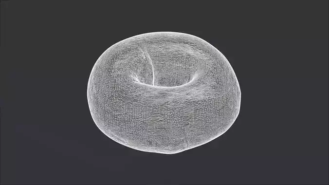 Bagels Bundle - 4 Models 3D model 6
