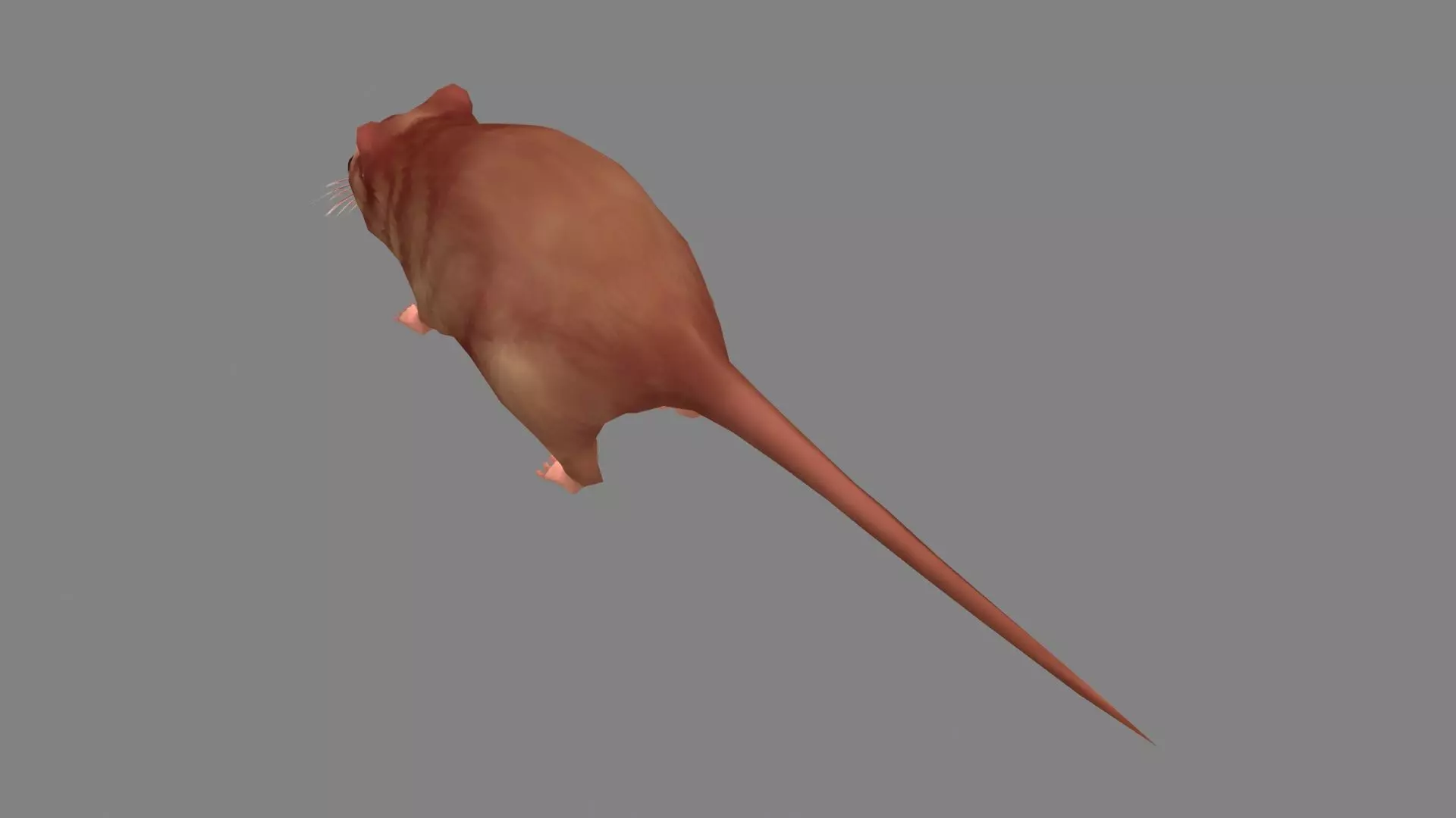 Cartoon mouse Low-poly 3D model_2