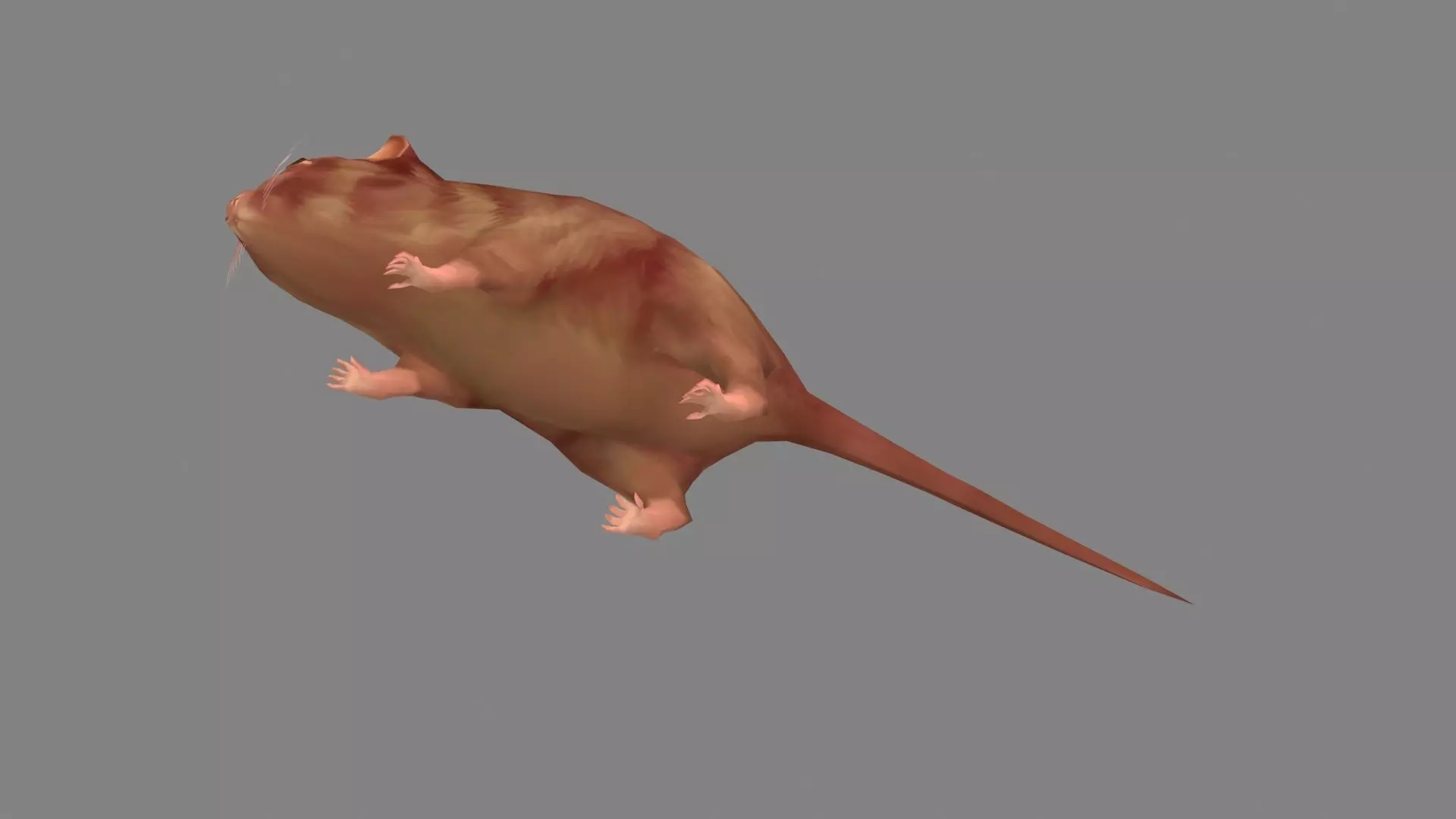 Cartoon mouse Low-poly 3D model_4