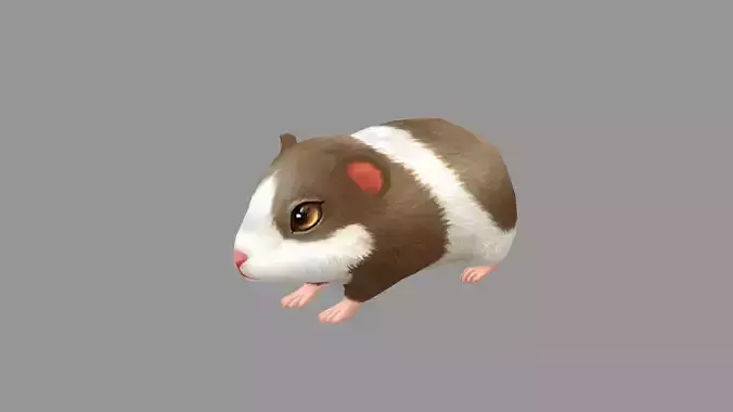 Cartoon Hamster