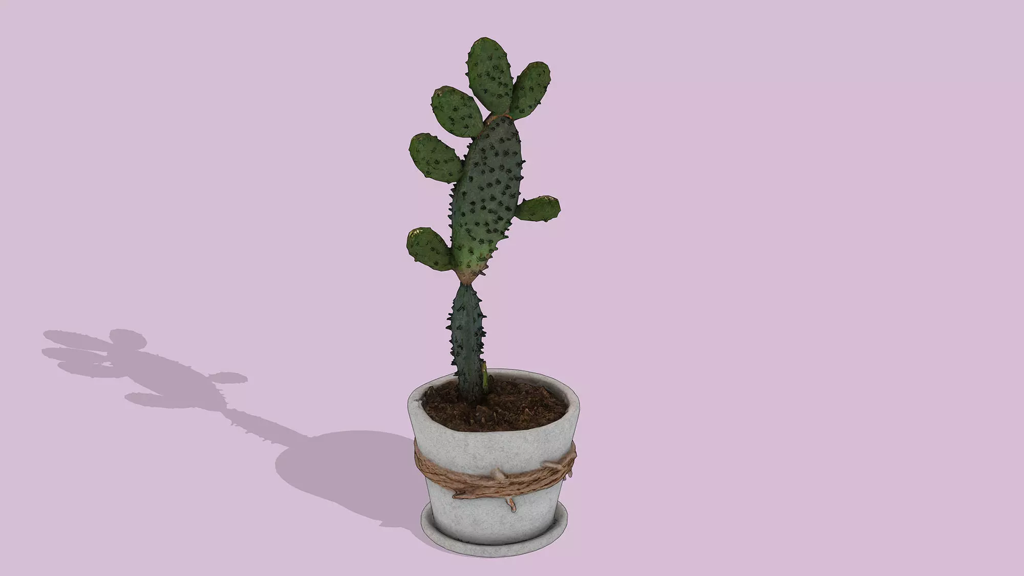 Potted Cactus Low-poly 3D model_2