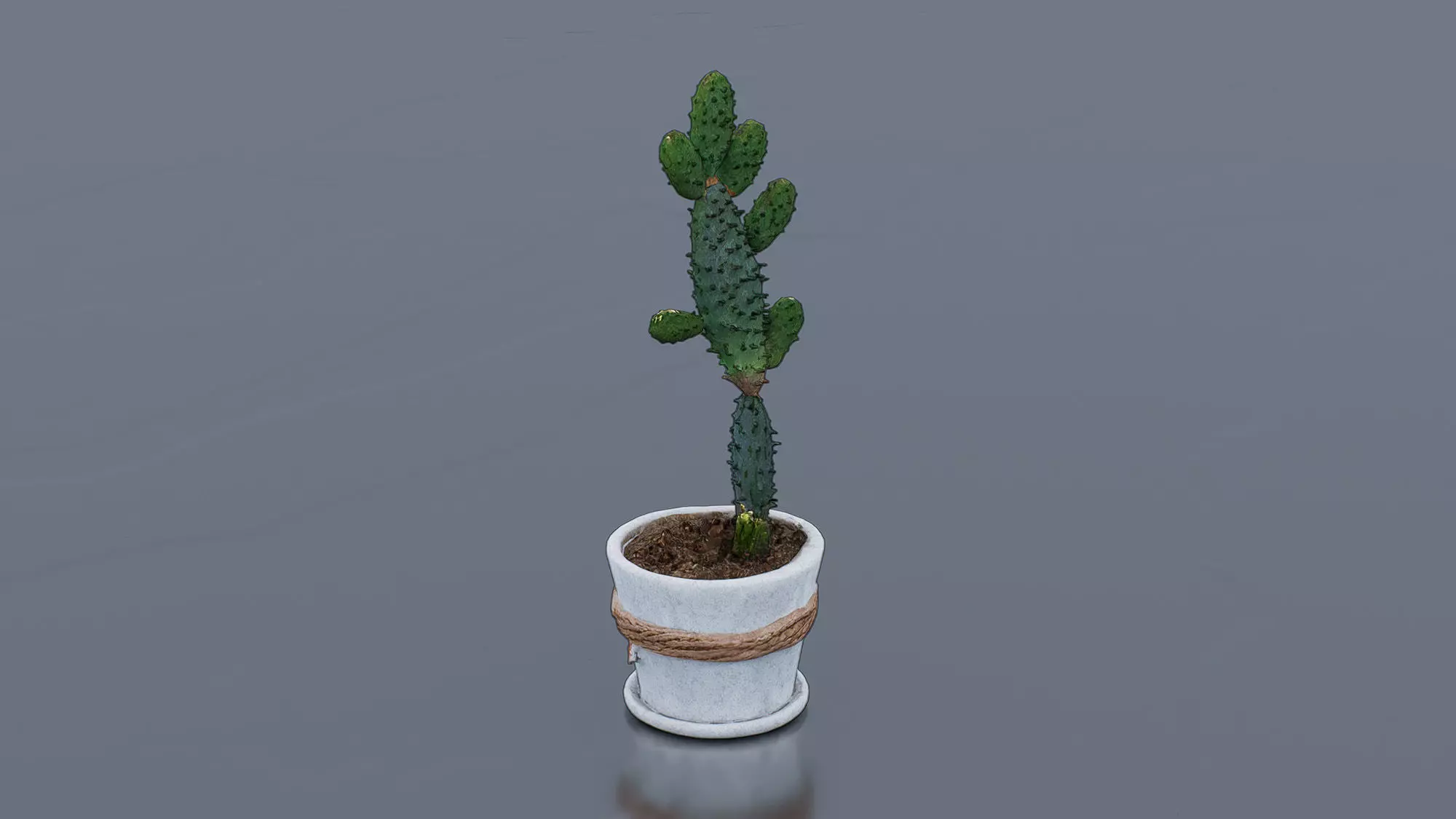 Potted Cactus Low-poly 3D model_6