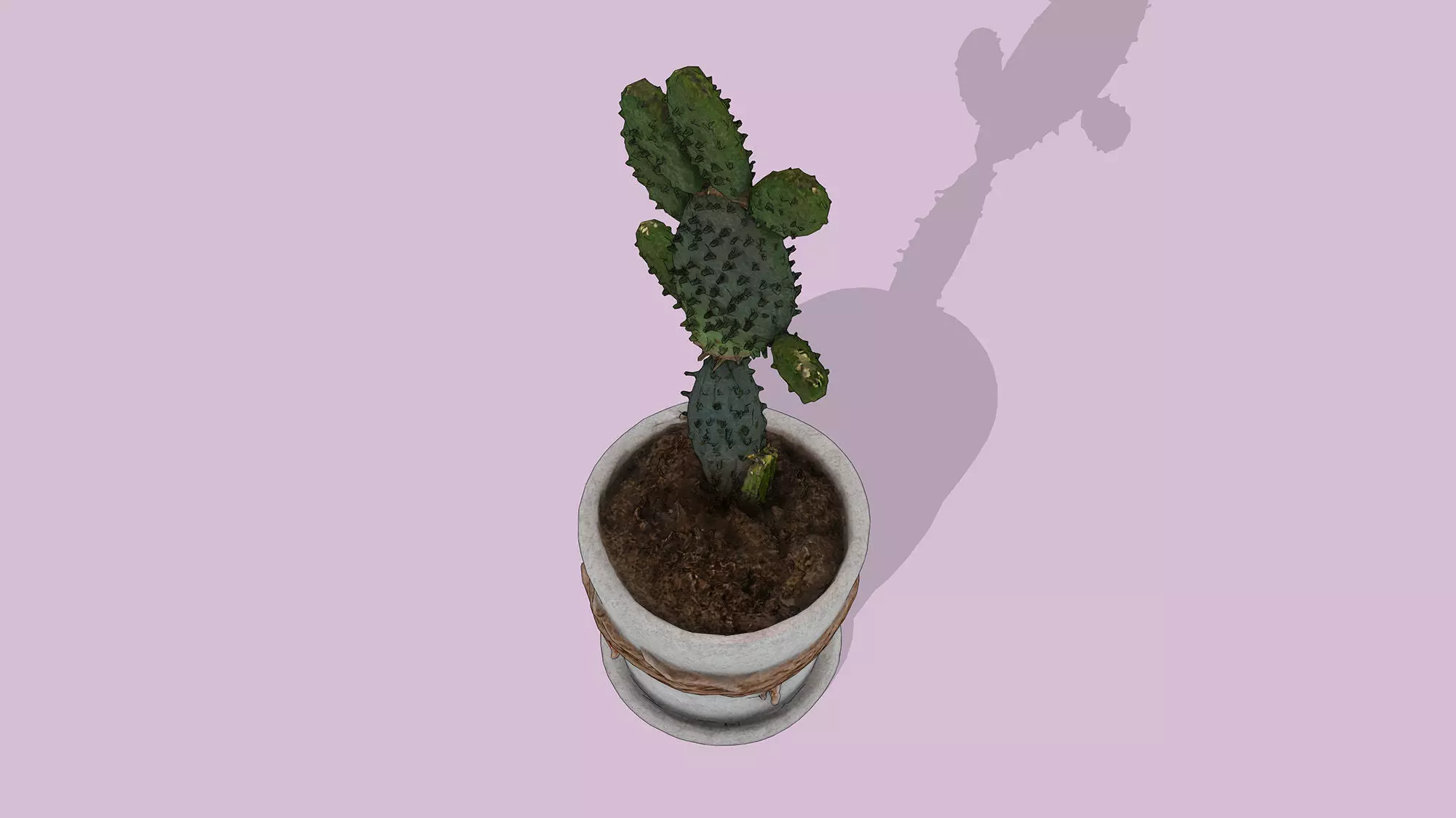 Potted Cactus Low-poly 3D model_4