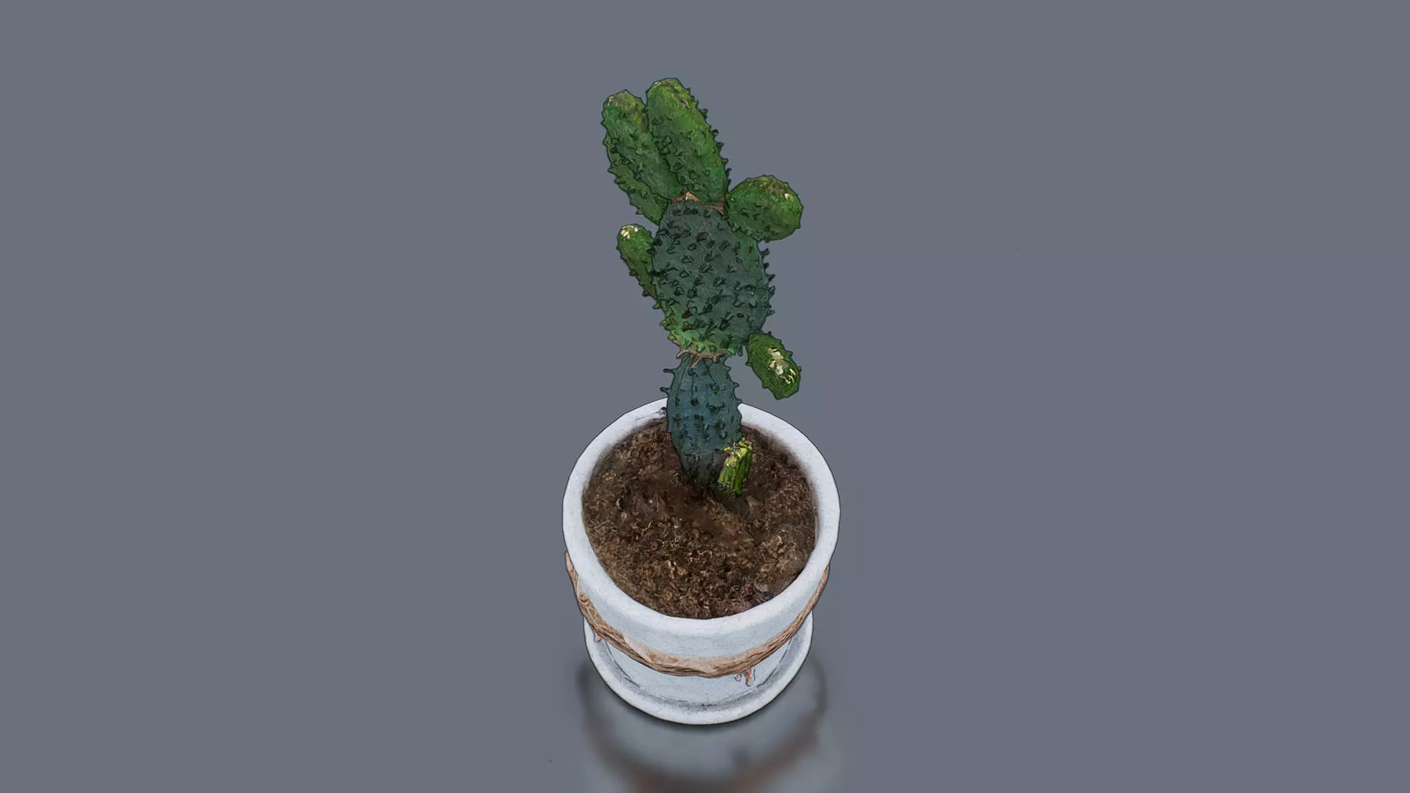 Potted Cactus Low-poly 3D model_1