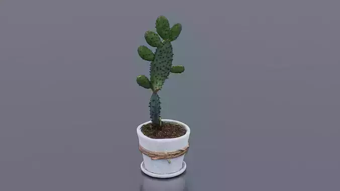 Potted Cactus Low-poly 3D model Potted Cactus Low-poly 3D model