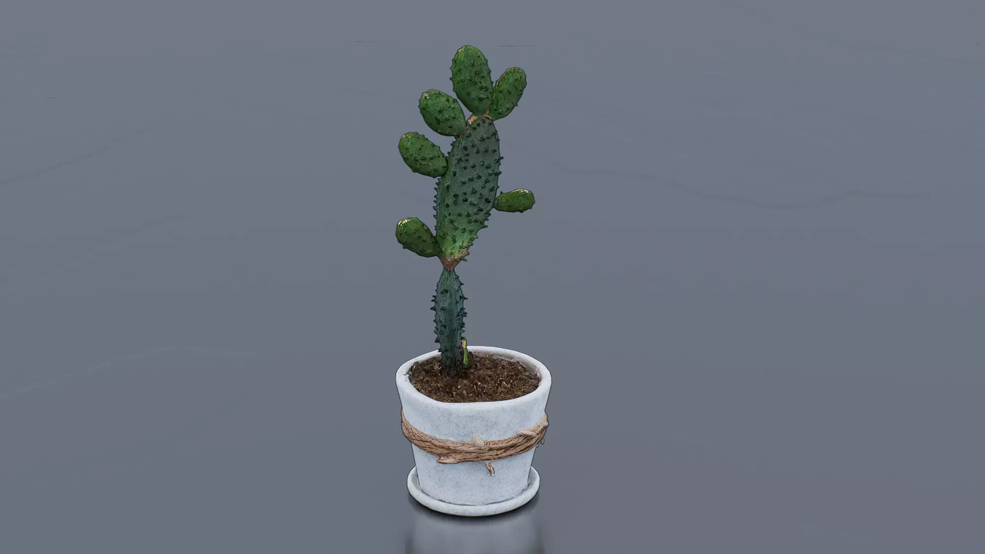 Potted Cactus Low-poly 3D model_0