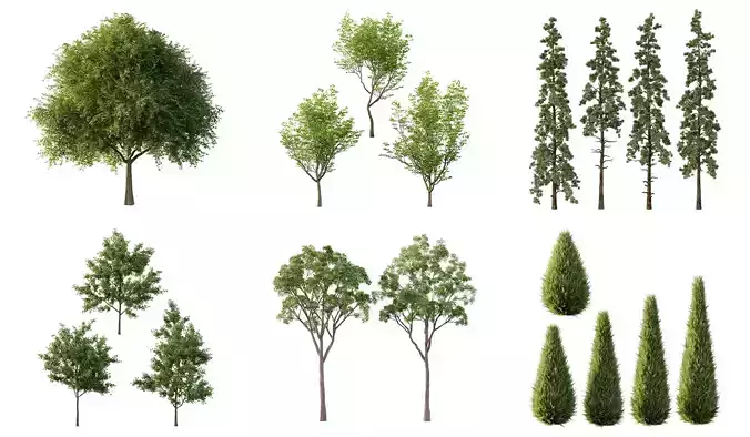 Excellent collection of Tree plants 18 Different Models 0024