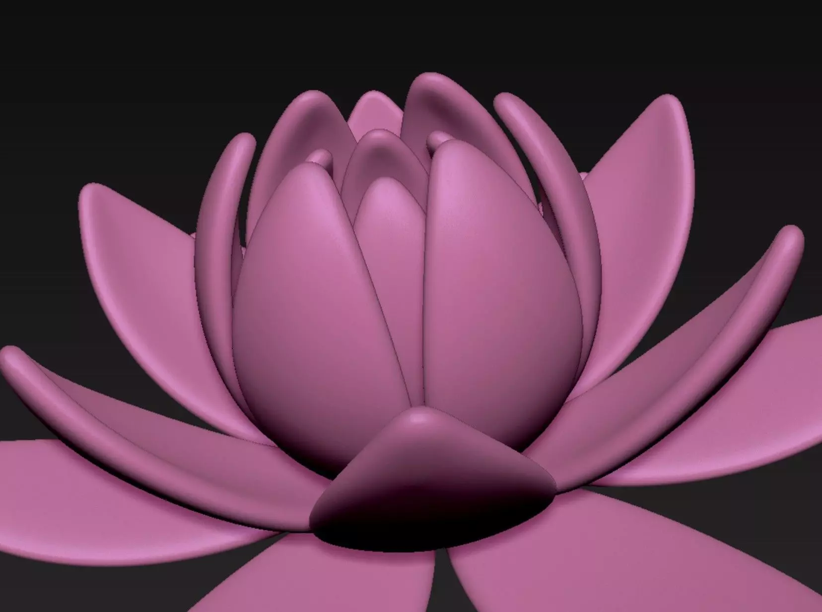 Lotus 3D print model_7