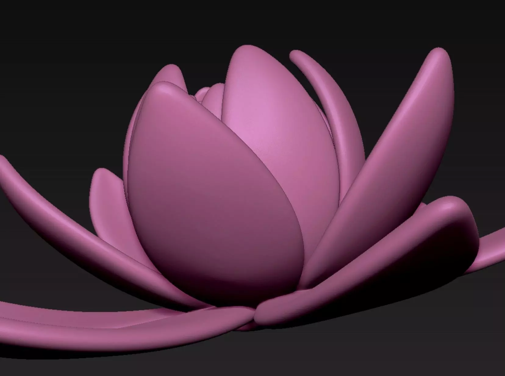 Lotus 3D print model_8