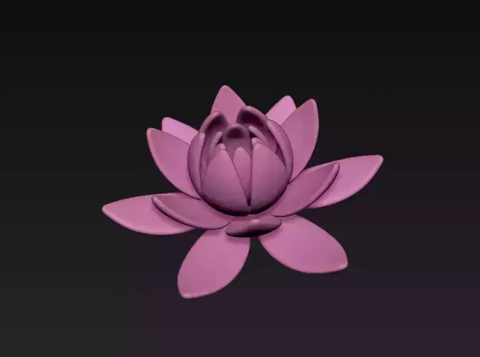 Lotus