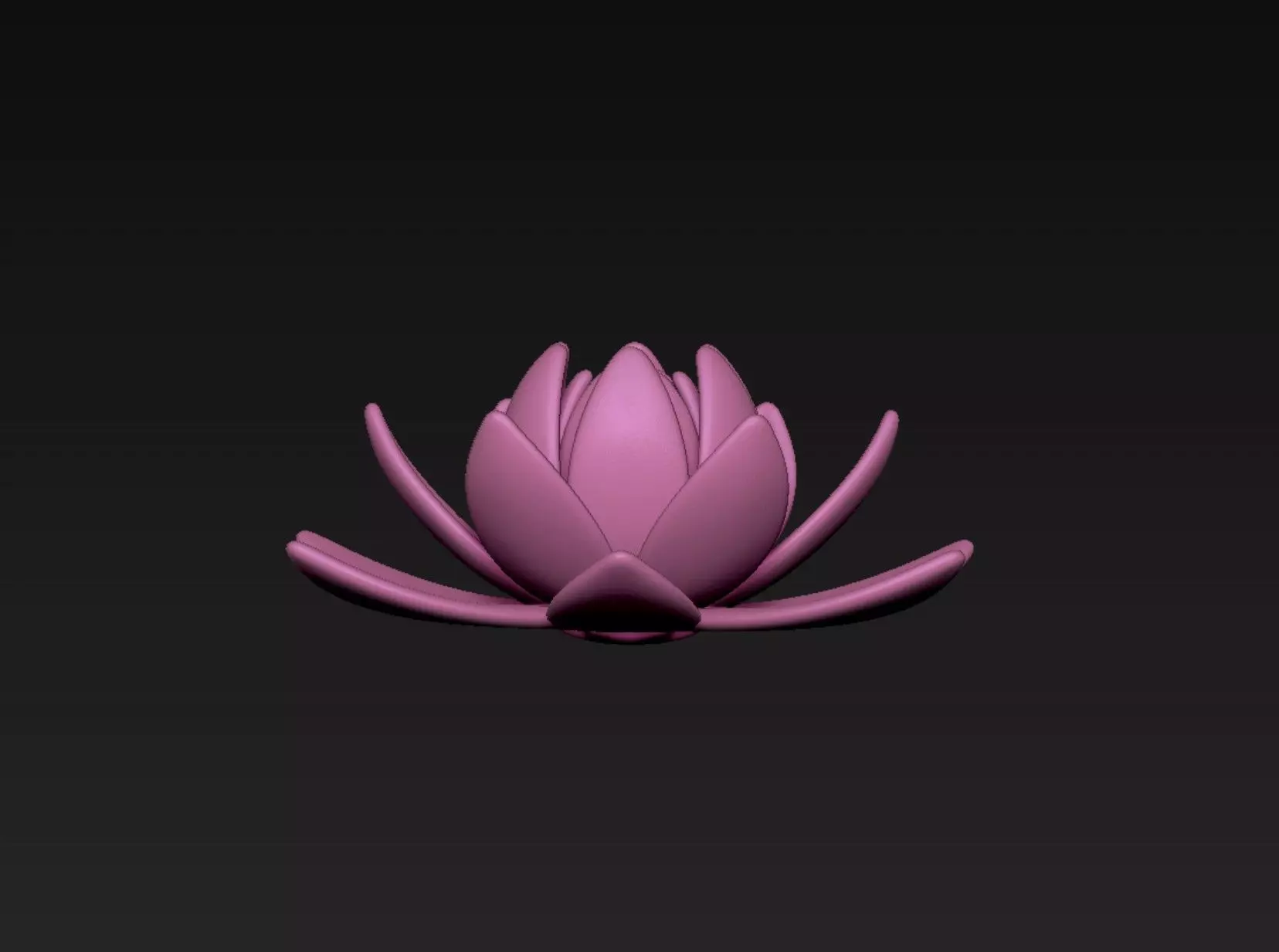 Lotus 3D print model_2