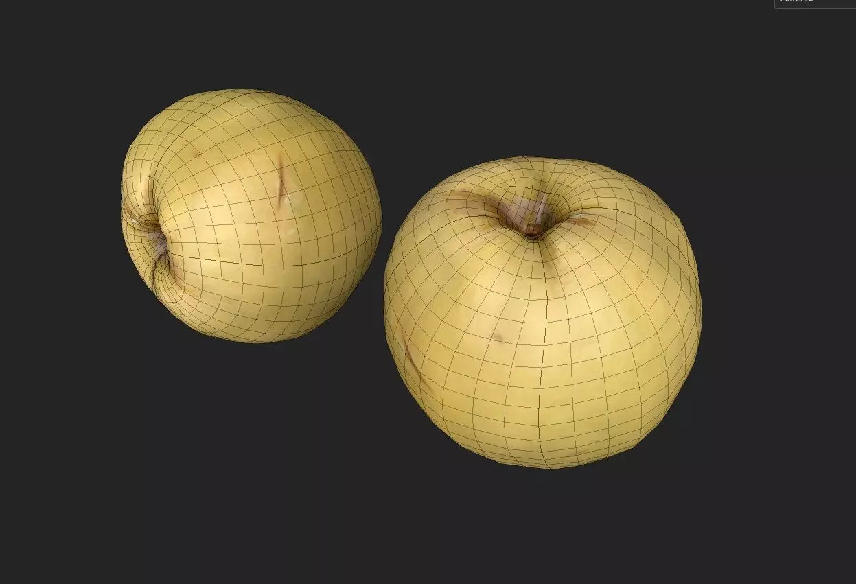 Quince M09 Low-poly 3D model_6