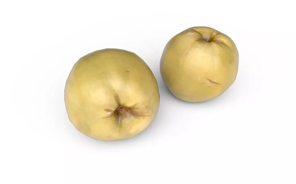 Quince M09 Low-poly 3D model_4