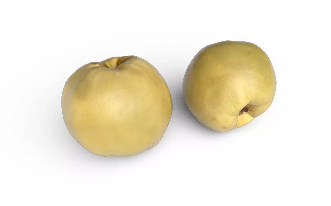 Quince M09 Low-poly 3D model_0