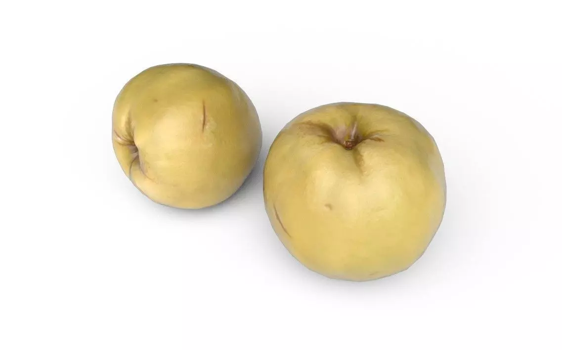 Quince M09 Low-poly 3D model_5