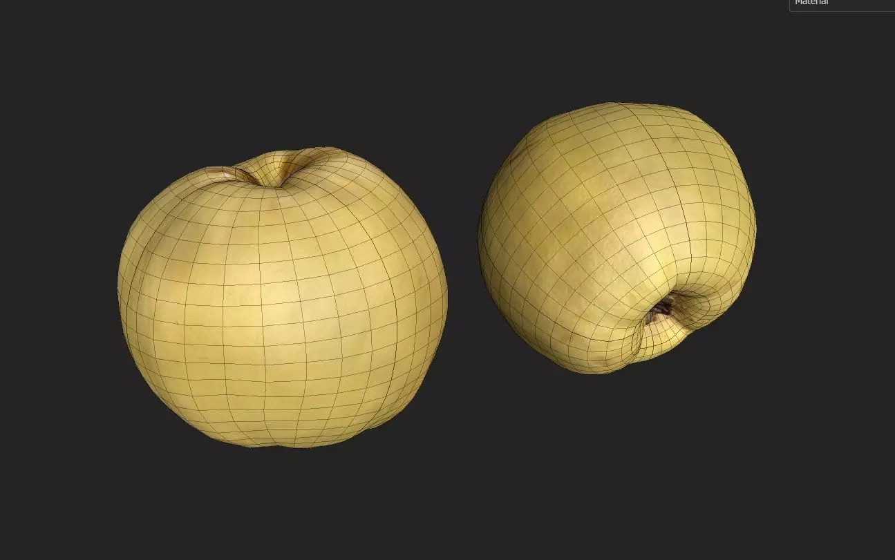 Quince M09 Low-poly 3D model_1