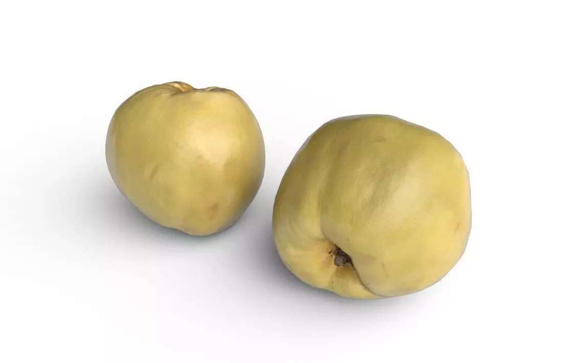 Quince M09 Low-poly 3D model_3