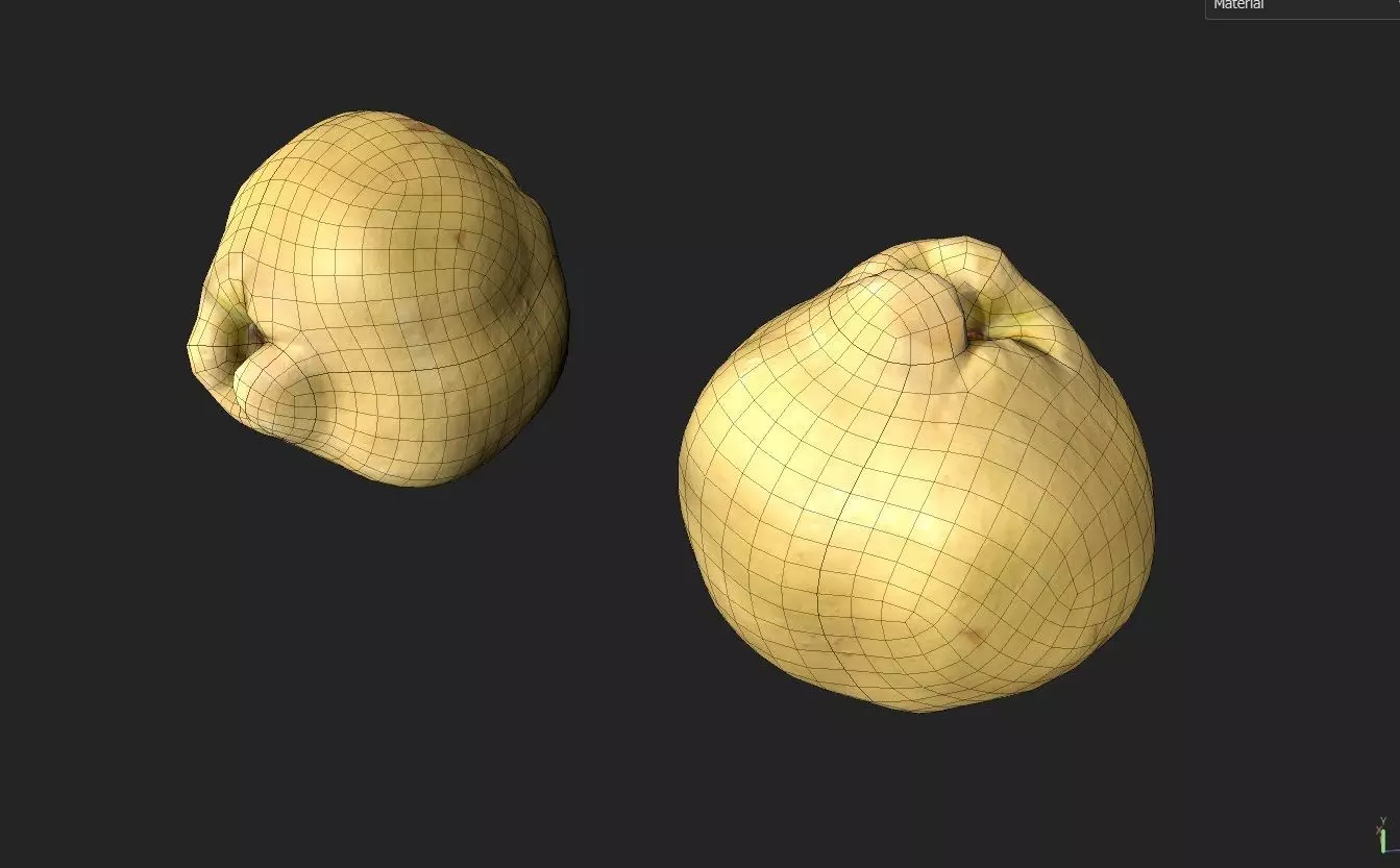 Quince M10 Low-poly 3D model_6