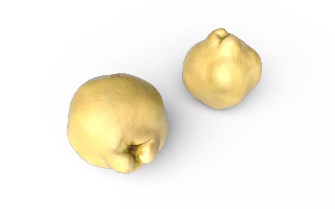 Quince M10 Low-poly 3D model_4