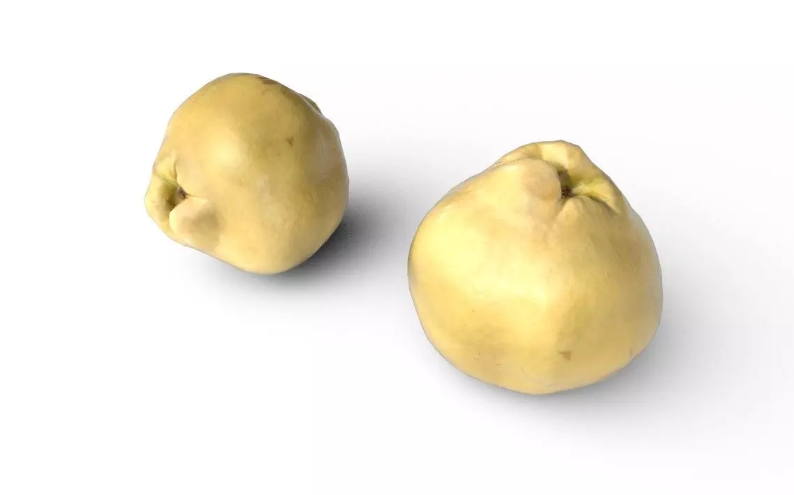 Quince M10 Low-poly 3D model_5