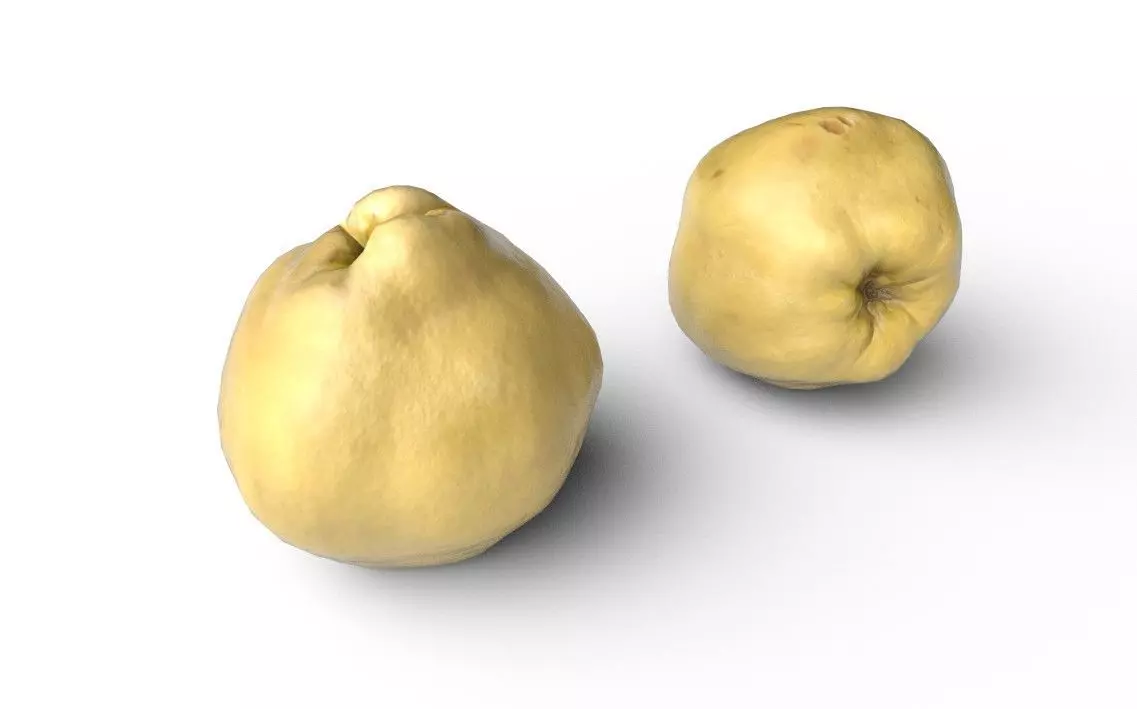 Quince M10 Low-poly 3D model_0