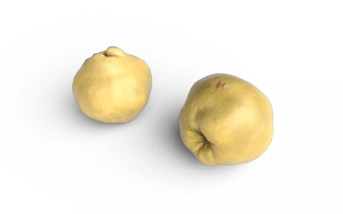 Quince M10 Low-poly 3D model_3