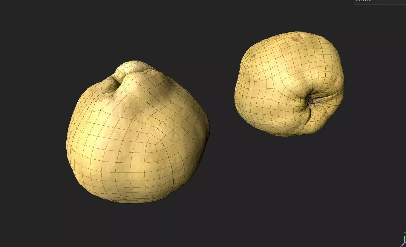 Quince M10 Low-poly 3D model_1