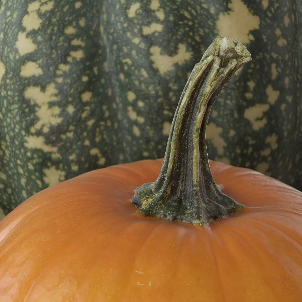 Scanned pumpkins 3D Model Collection 3D model_2