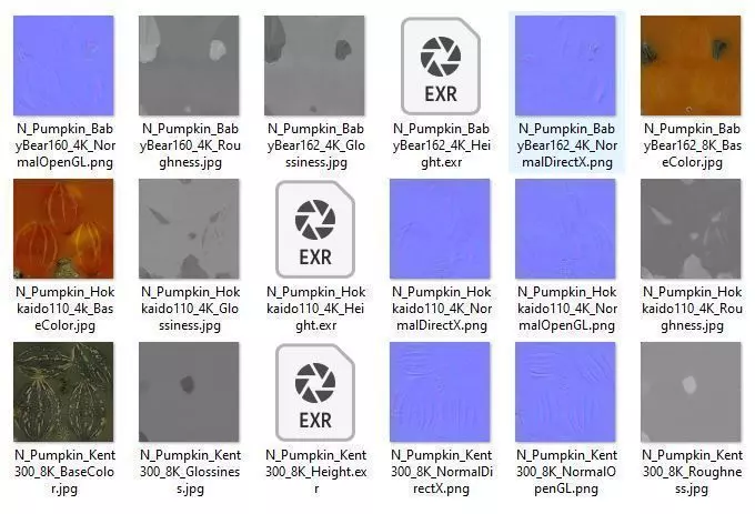 Scanned pumpkins 3D Model Collection 3D model_15