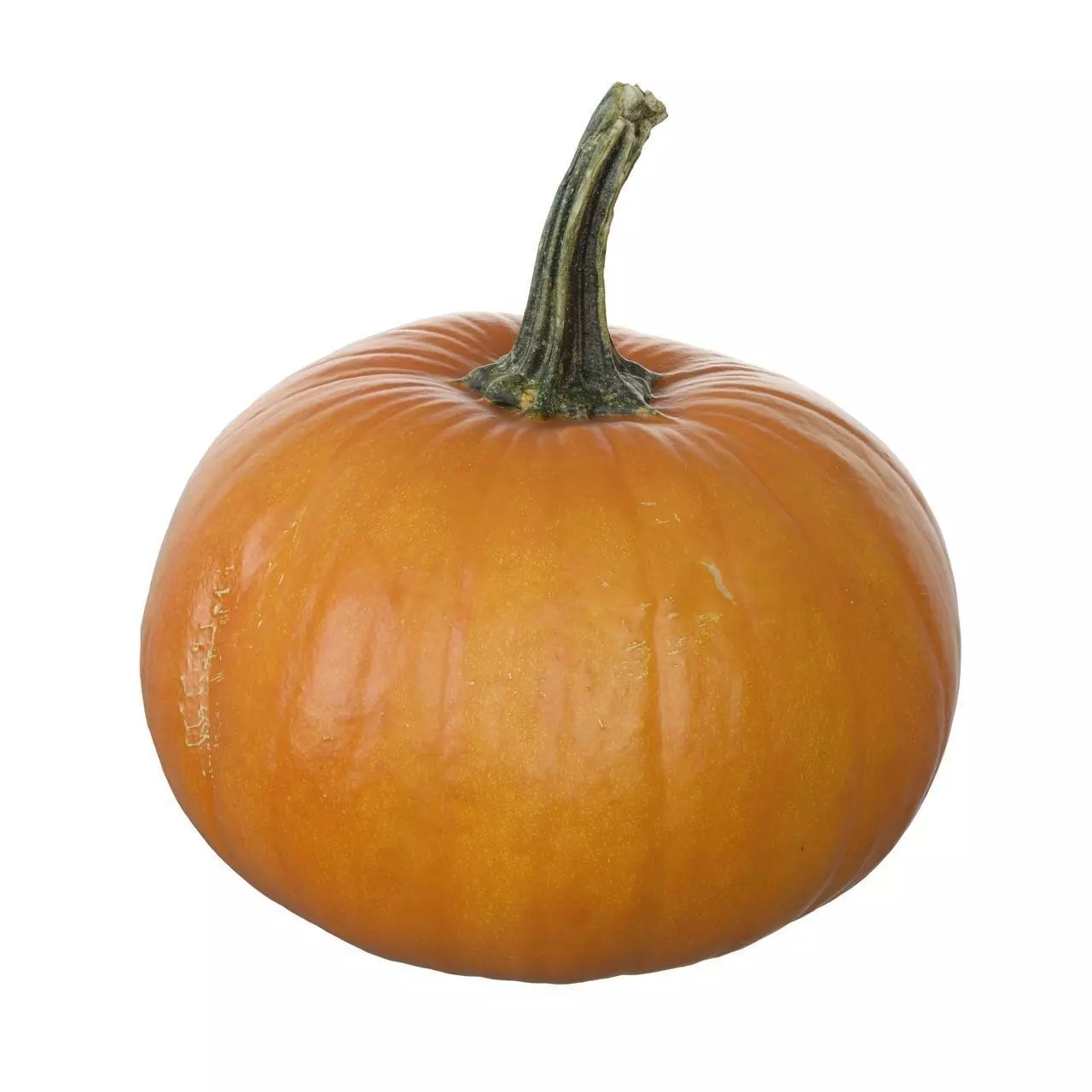 Scanned pumpkins 3D Model Collection 3D model_6