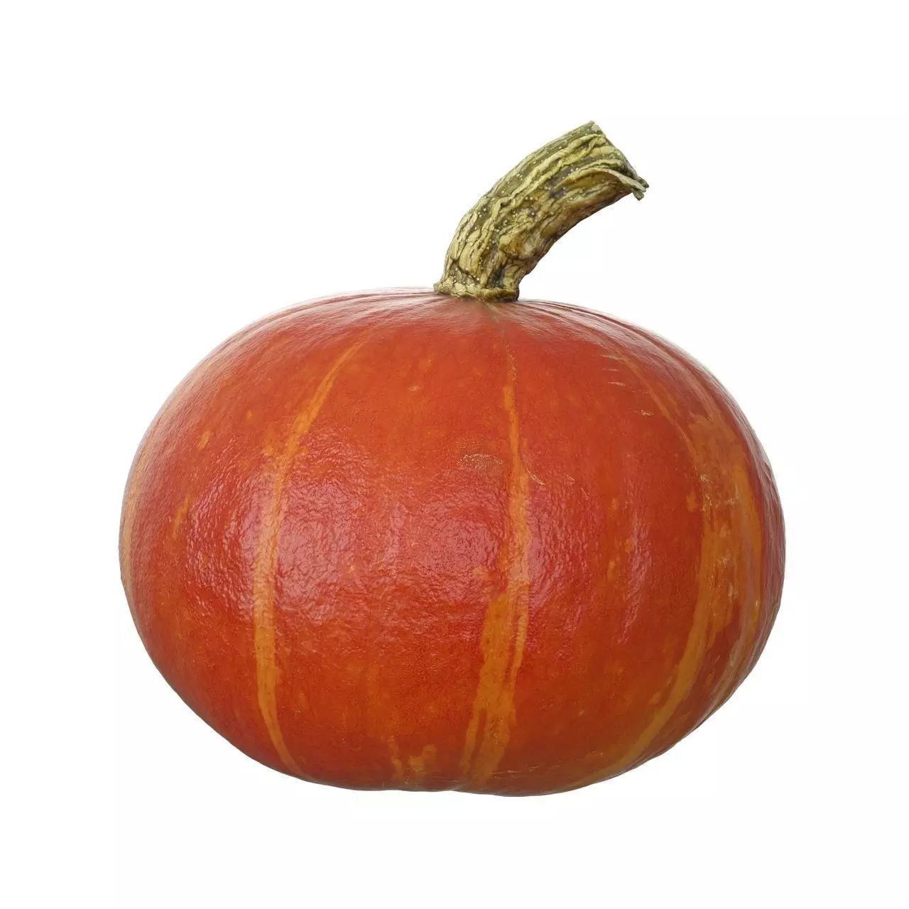 Scanned pumpkins 3D Model Collection 3D model_5