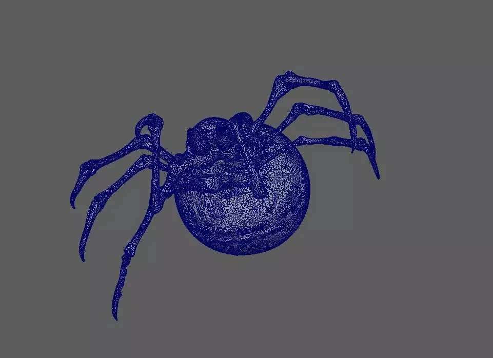 Spider 3D model_4