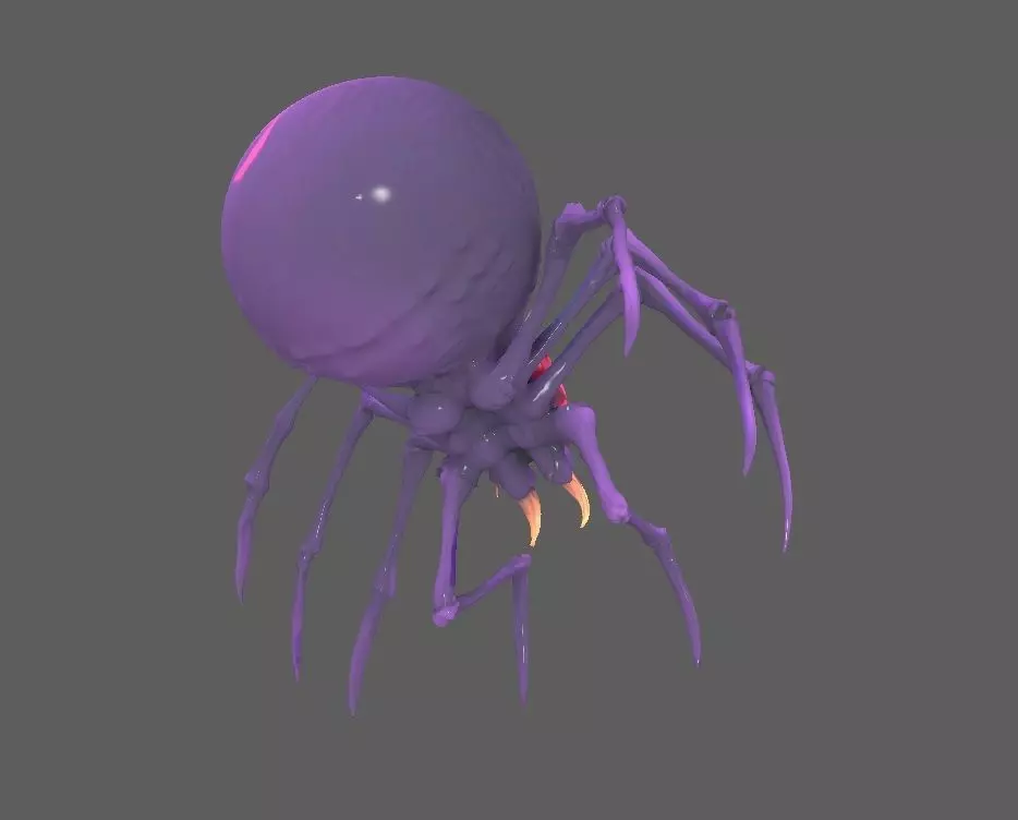 Spider 3D model_1
