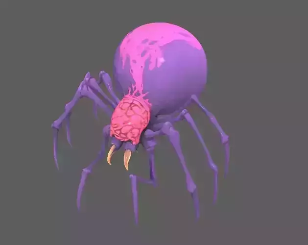 Spider