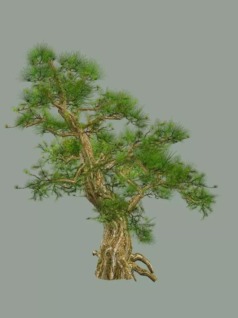 Japan Asian Medieval Hut E House 3D Model Low-poly 3D model_11