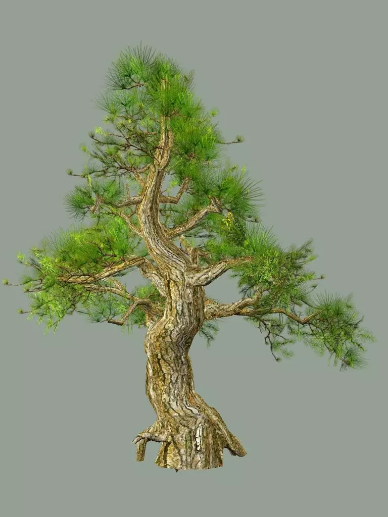 Japan Asian Medieval Hut E House 3D Model Low-poly 3D model_8