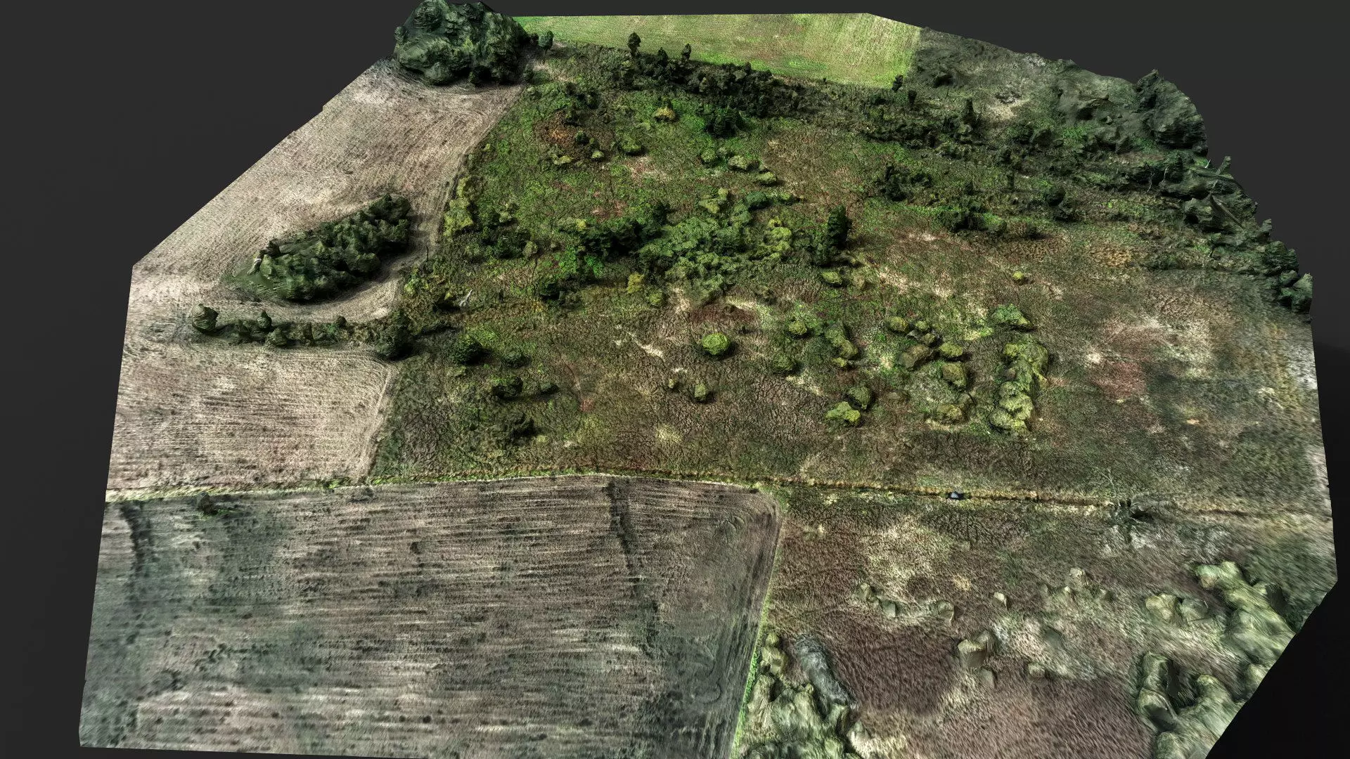 landscape bushes fields terrain patch PBR photogrammetry Low-poly 3D model