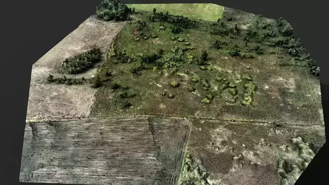landscape bushes fields terrain patch PBR photogrammetry