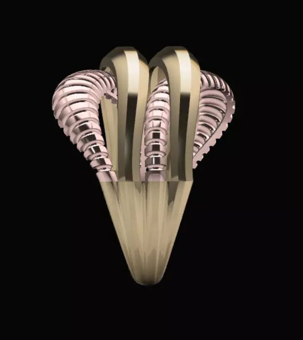 Golring10 3D print model_3