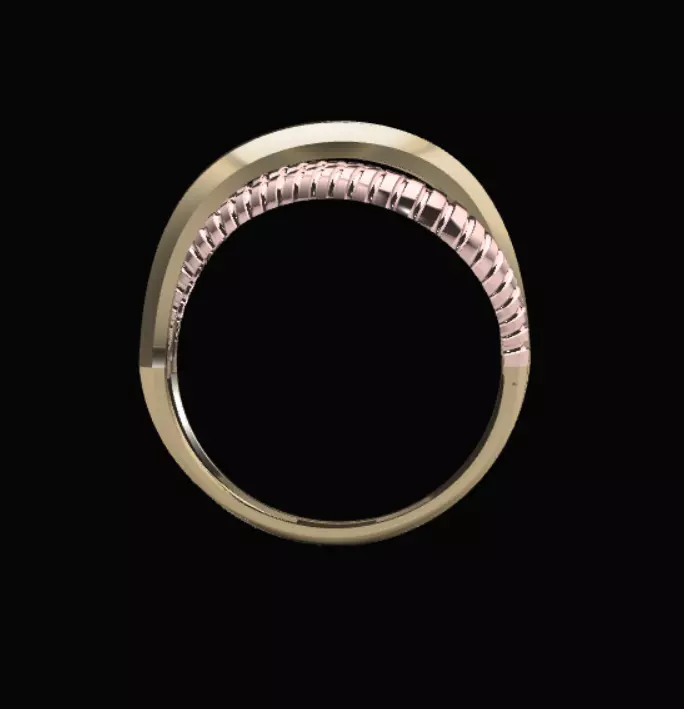 Golring10 3D print model_5