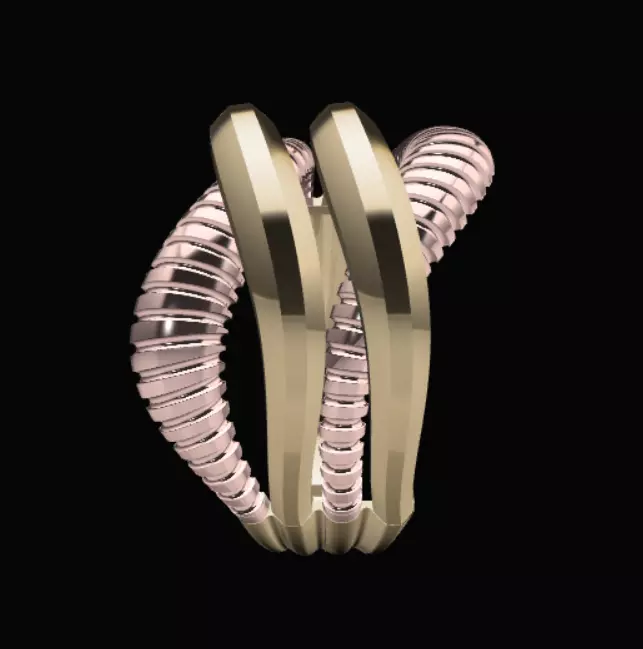 Golring10 3D print model_2