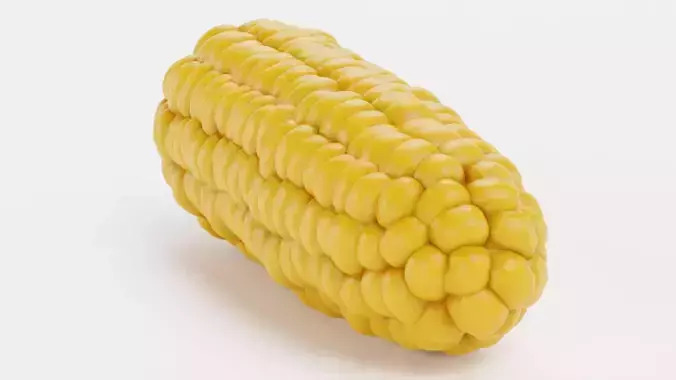 Corn V3 - Ear of Maize with Yellow Kernels 3D model 6