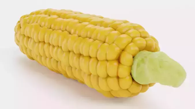 Corn V3 - Ear of Maize with Yellow Kernels 3D model 4