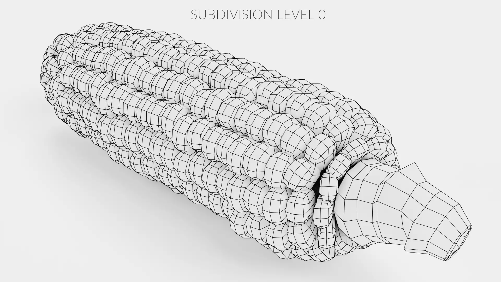 -Corn 3- 3D model_10