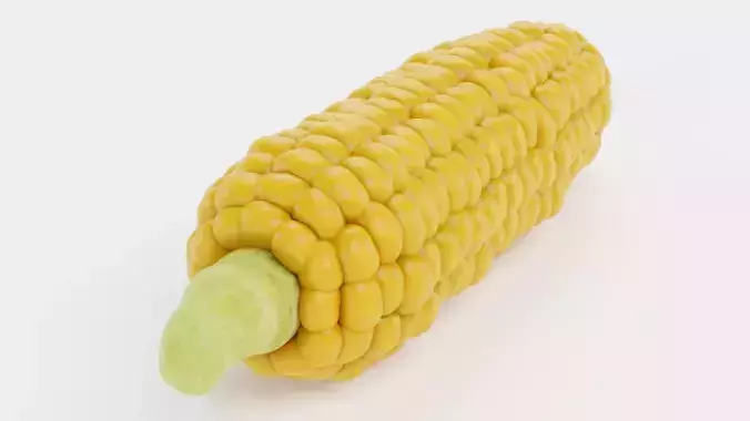 Corn V3 - Ear of Maize with Yellow Kernels 3D model 3