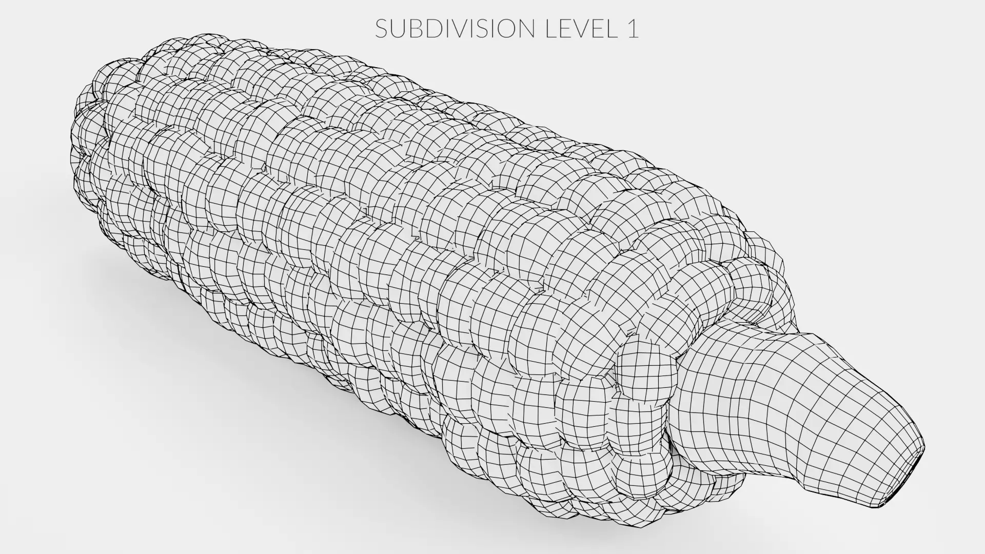 -Corn 3- 3D model_11